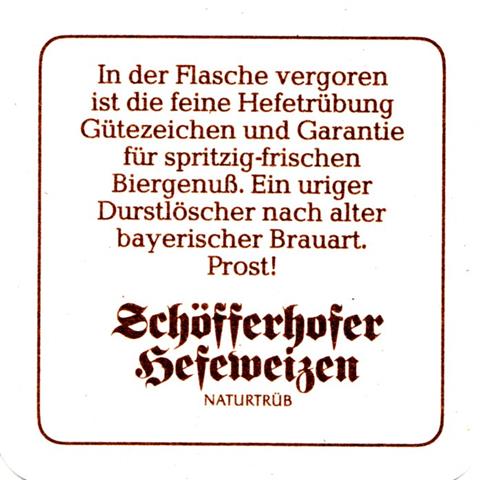 frankfurt f-he binding schff sommer 3b5b11b (quad180-in der flasche-braun)